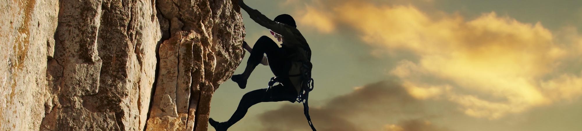 Capability <span>Building</span>